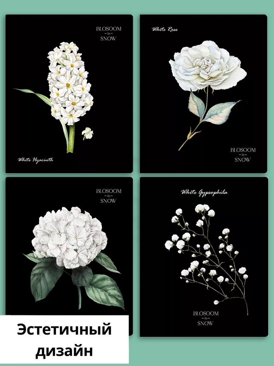 Тетрадь BG клетка 48 лист. 4 шт. - фото 3