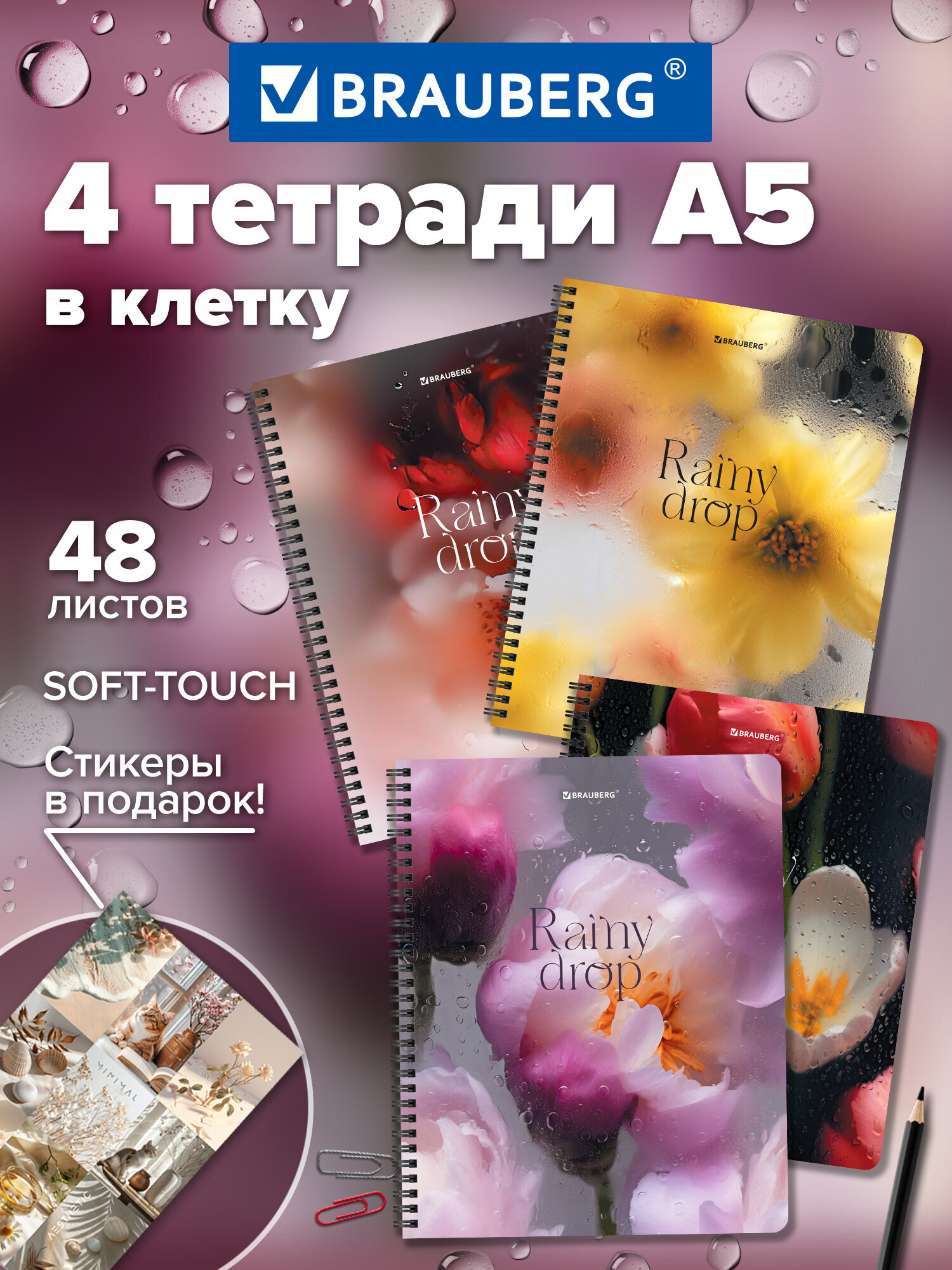 Тетрадь Brauberg клетка 48 лист. 4 шт. - фото 2