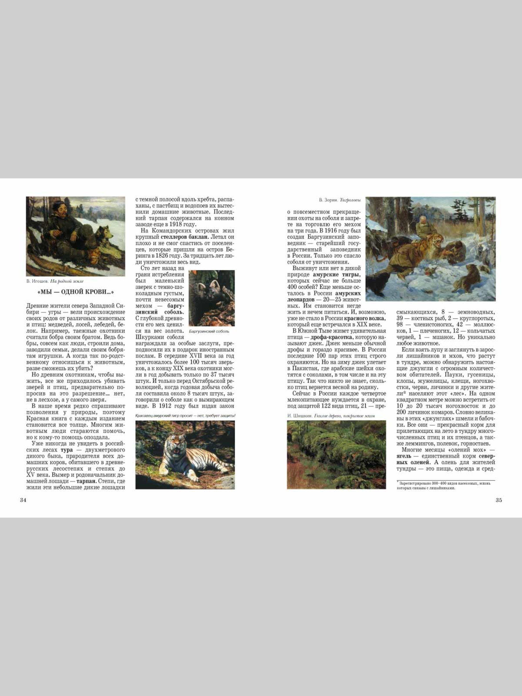 Книга Белый город Природа России - фото 8