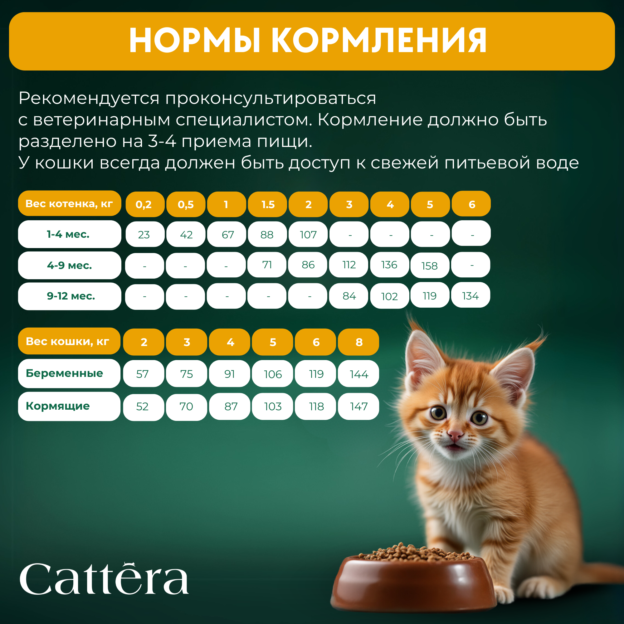 Корм сухой для кошек Cattera полнорационный для котят с 1 месяца, беременных и кормящих кошек с курицей 0,3 - фото 8