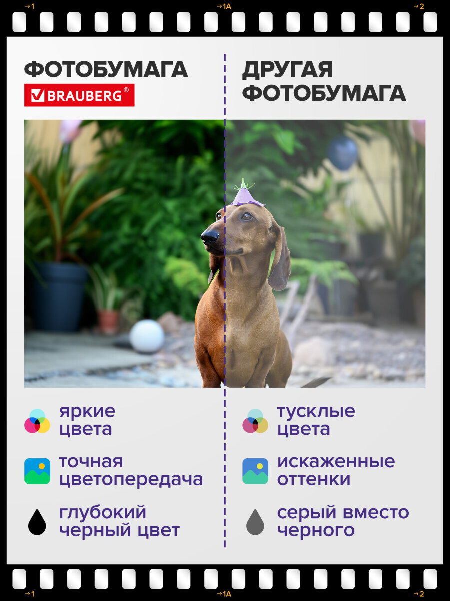 Фотобумага Brauberg матовая 10х15 см набор 100 листов односторонняя - фото 5