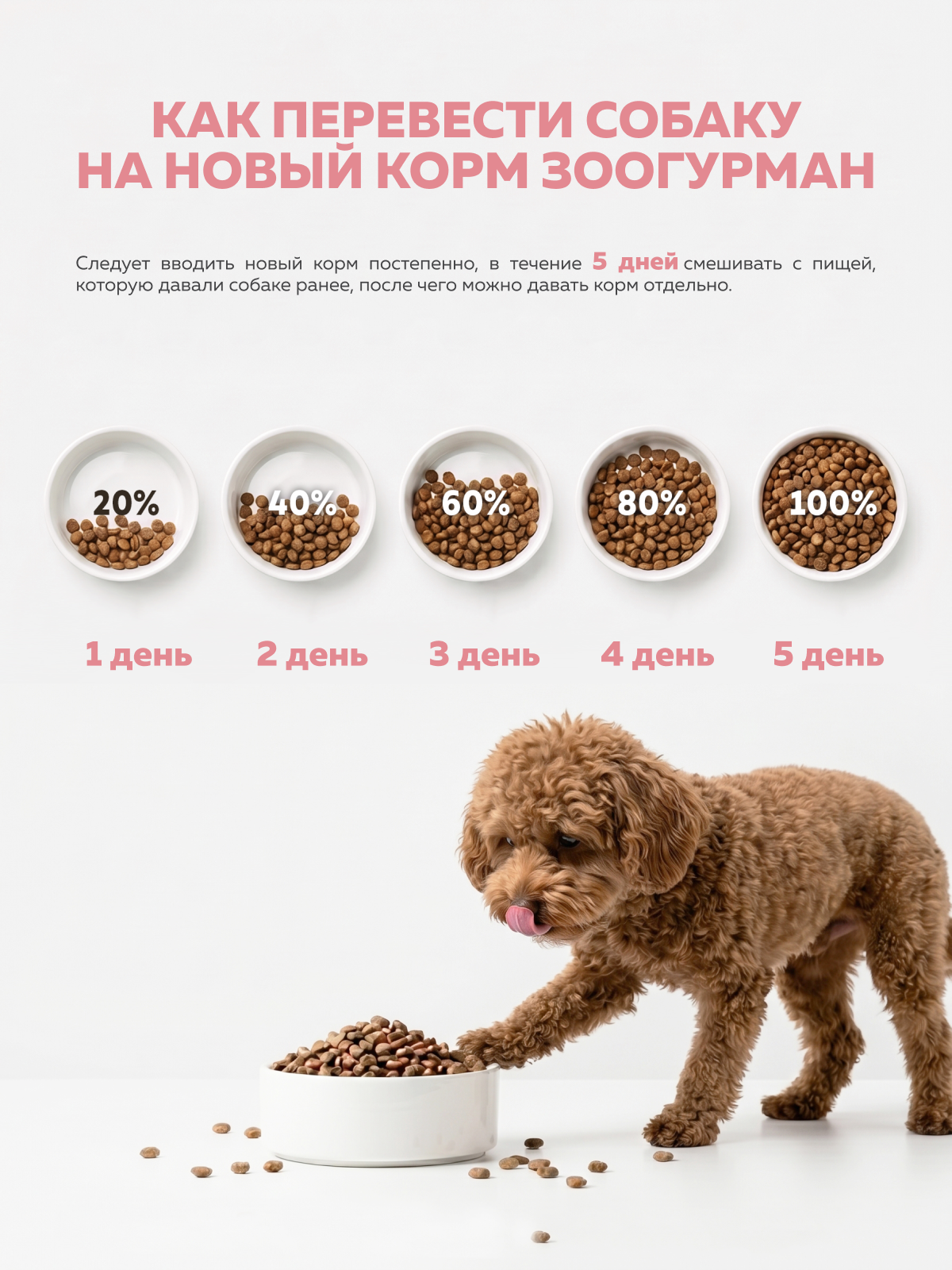 Корм сухой Зоогурман Soft лосось 1.2кг - фото 6