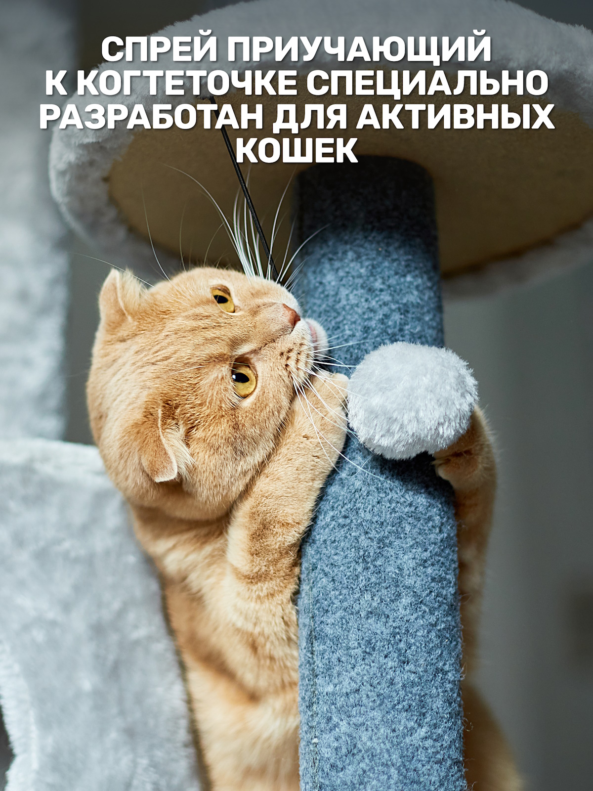 Спрей для кошек ZOORIK приучение к когтеточке 250 мл - фото 5