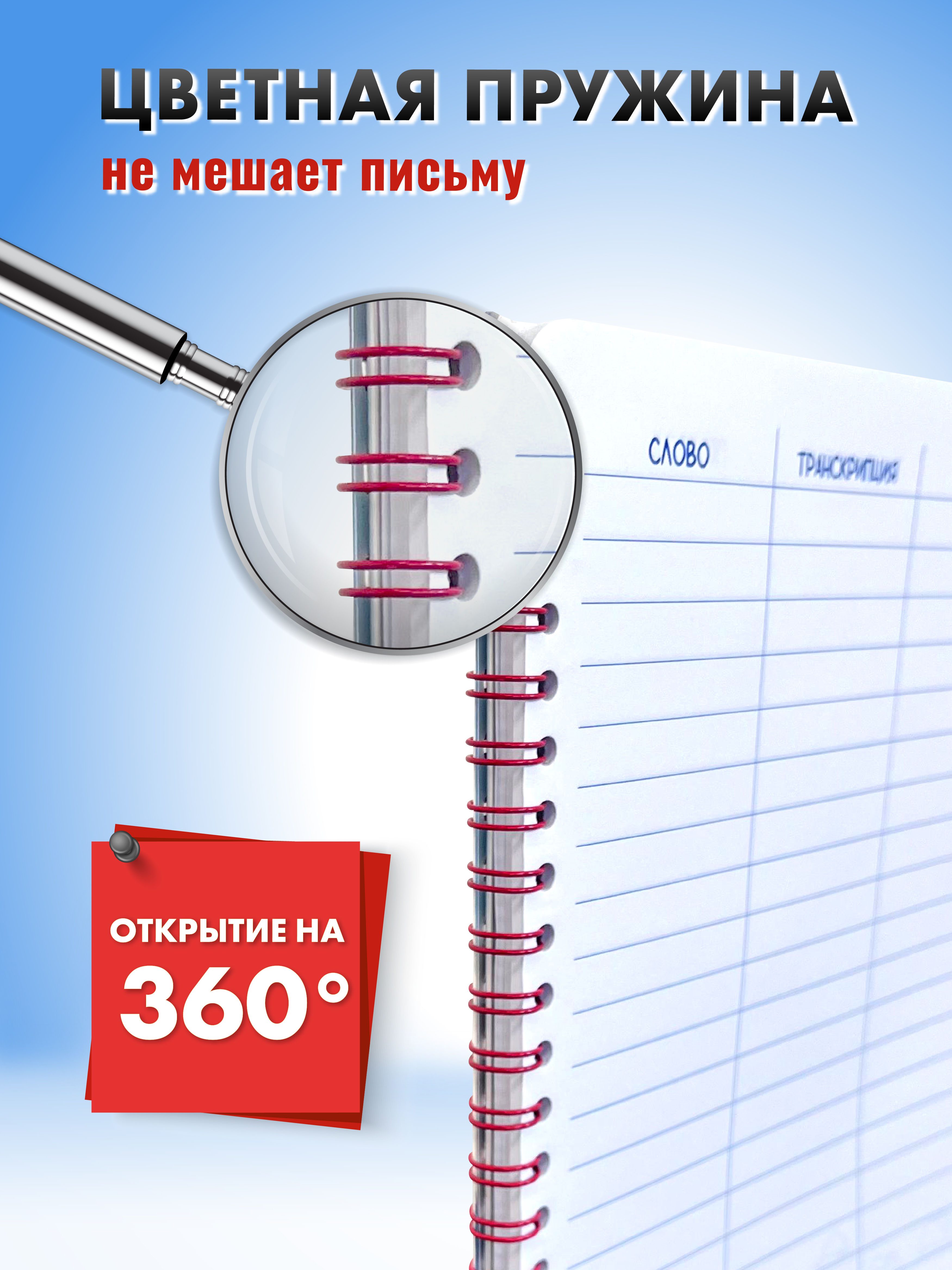 Тетрадь ШКОЛЬНЫЙ МИР 57 лист. (Иностранный язык) в ассортименте - фото 5
