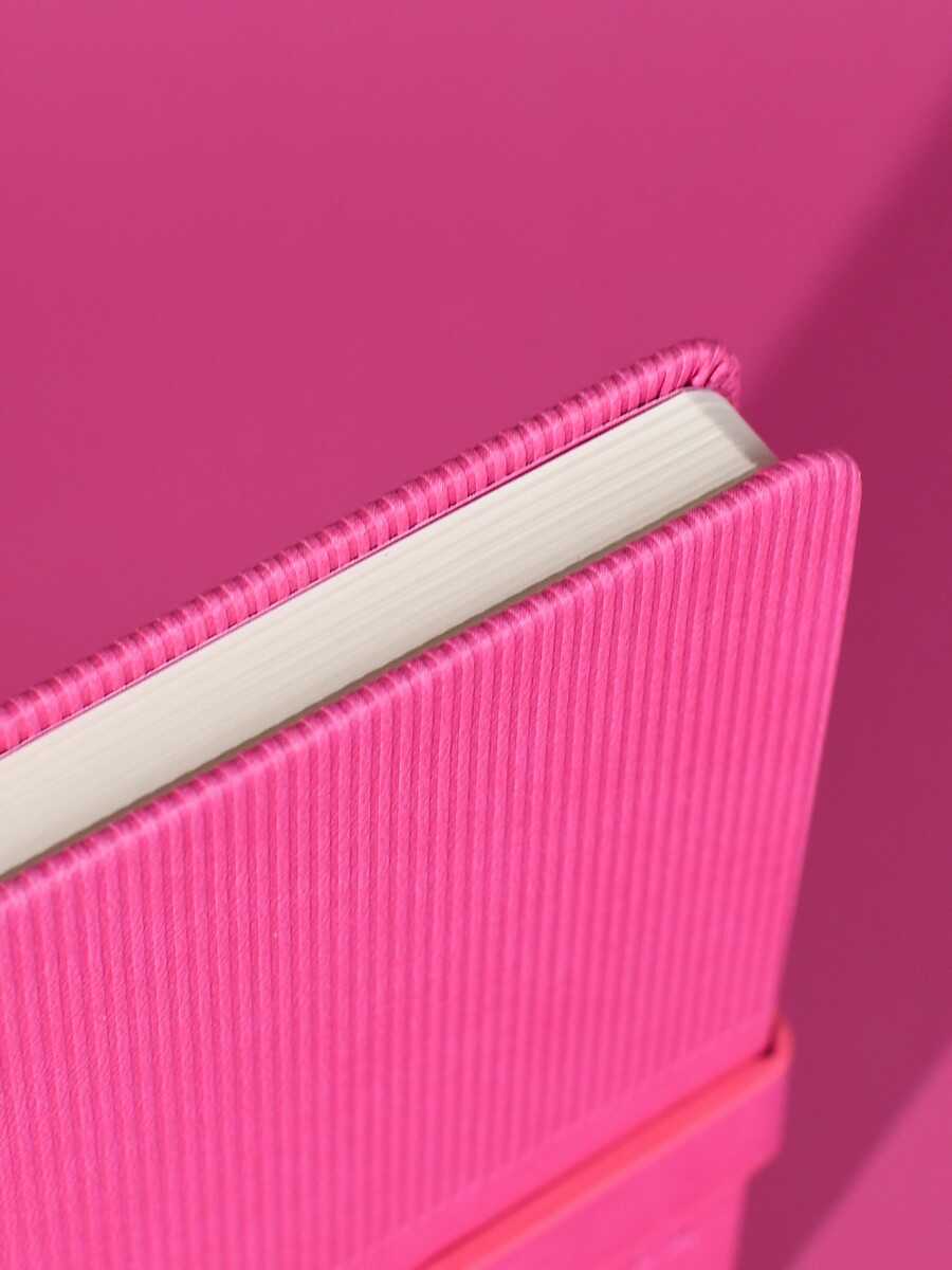 Ежедневник Феникс + ESCALADA 120 лист. - фото 7