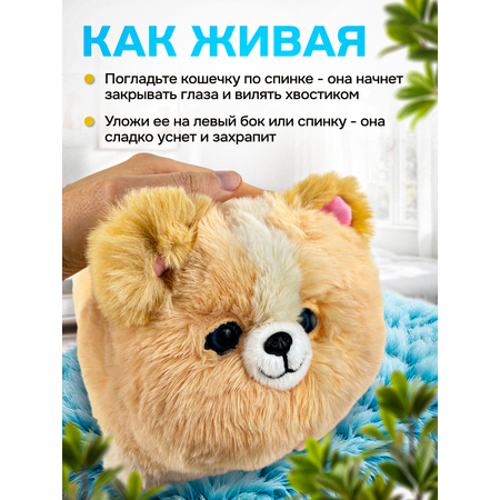 Мягкая игрушка MagicStyle собачка 20 см