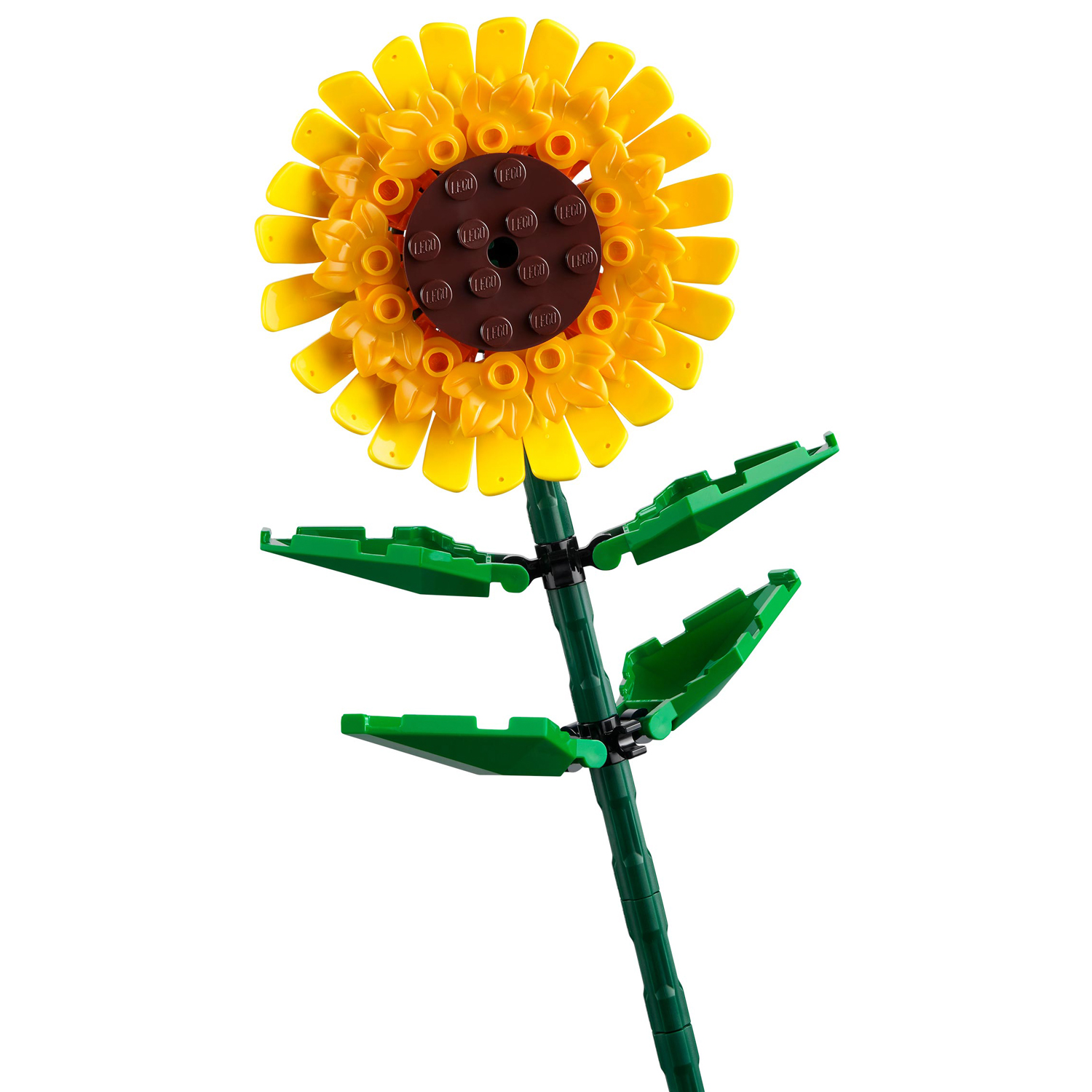 Конструктор LEGO Botanicals блочный - фото 5