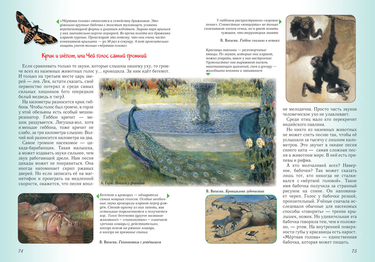 Книга Белый город Занимательная биология. - 2-е изд. - фото 9