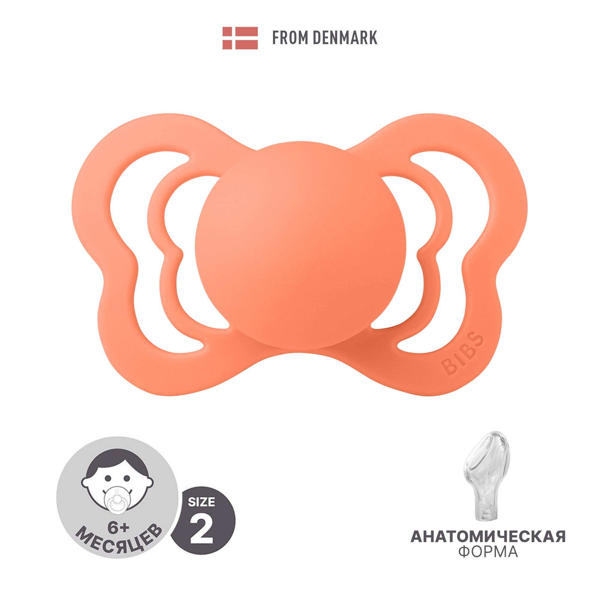 Пустышка BIBS от 6 мес. - фото 1
