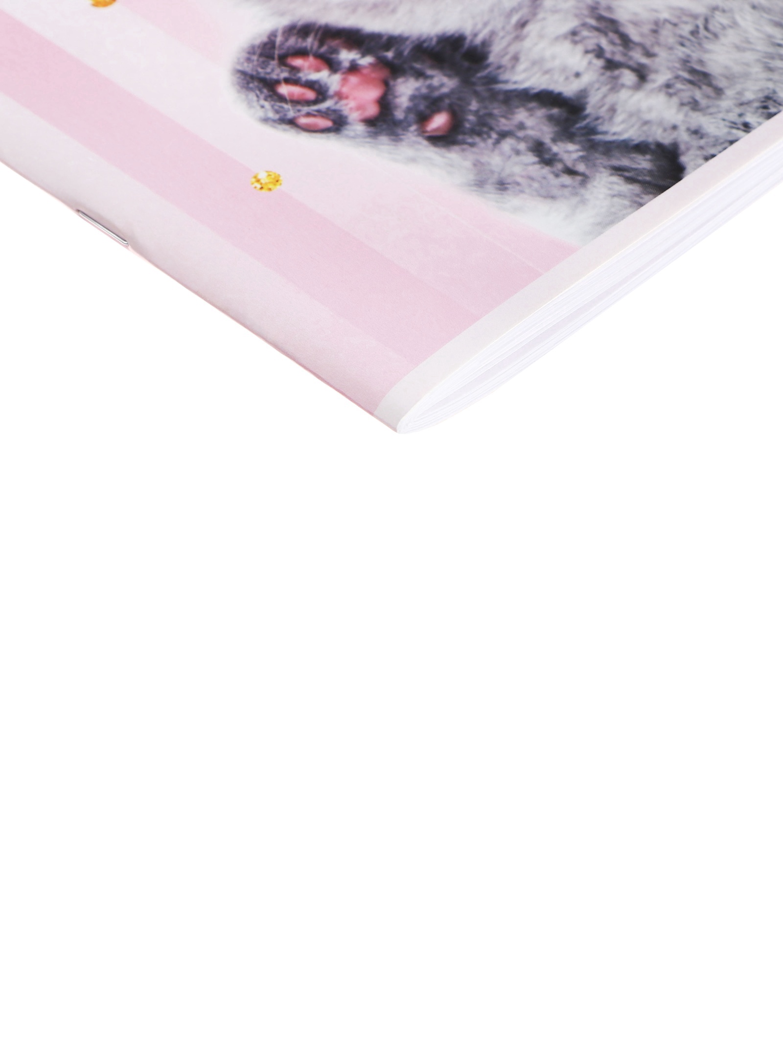 Альбом Calligrata - фото 4