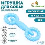 Игрушка Пижон для собак «Мотор» TPR массажная 16х5.8 см голубая