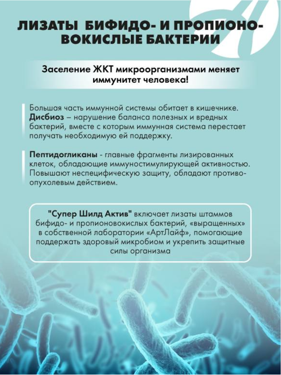 БАД Арт Лайф Супер Шилд Актив. Поддержка иммунитета 80 капсул - фото 2