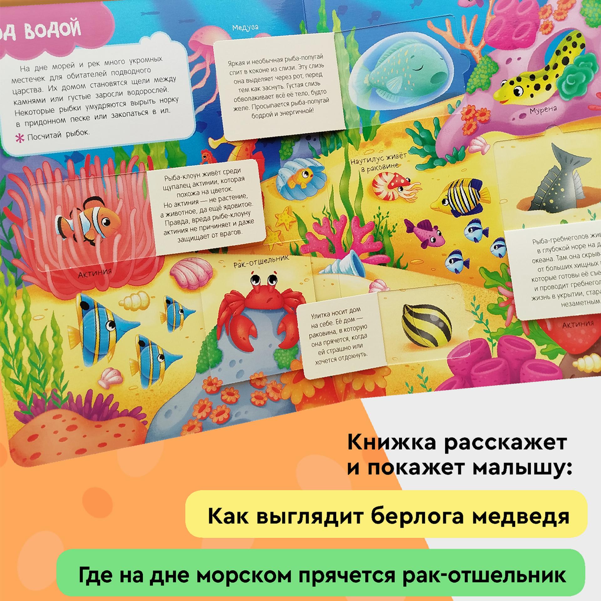 Книга Росмэн Кто где живет Книги с окошками - фото 8