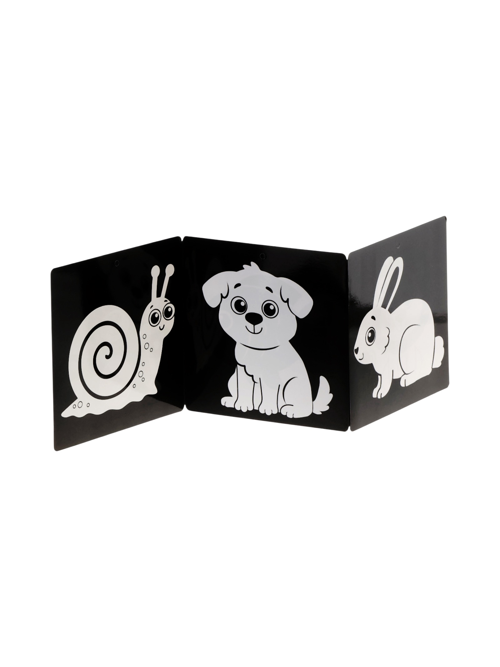 Набор Буква-ленд картонных книжек гармошек Смотри малыш 6 шт - фото 5