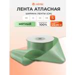 Лента атласная Айрис 5 см 22,86 м