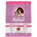 Корм для котят сухой Molina Cat kitten.Chicken with salmon с курицей и лососем 0.4кг