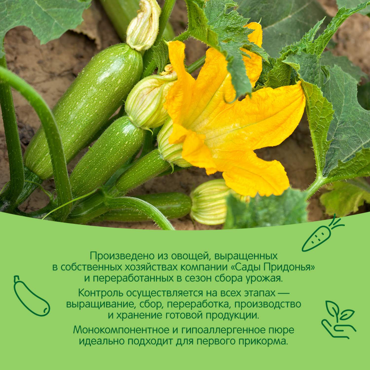 Пюре Сады Придонья Кабачок с 4 мес 125 г - фото 4