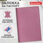 Обложка на документы Brauberg