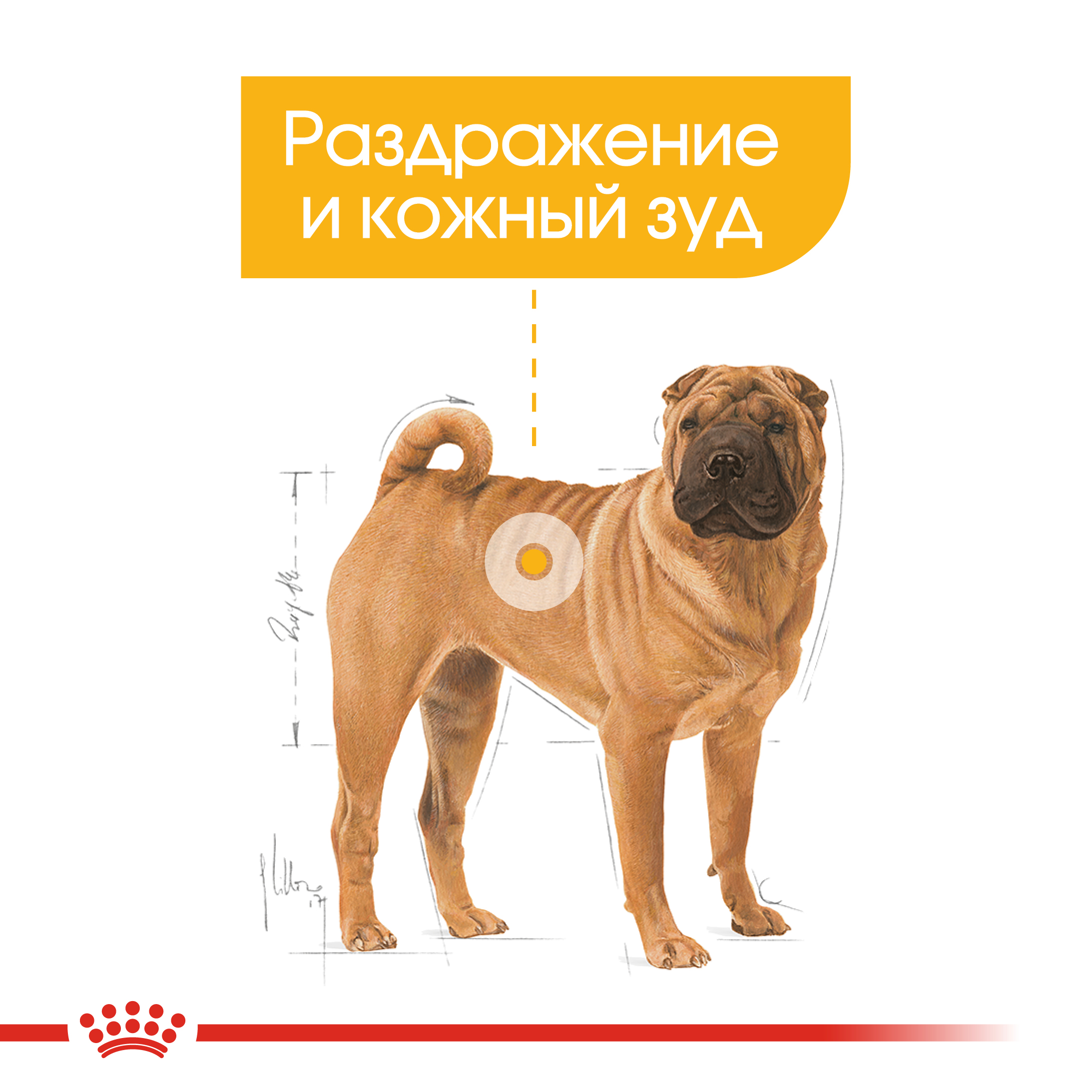 Корм для собак ROYAL CANIN Medium Dermacomfort средних пород склонных к кожным раздражениям и зуду 10кг - фото 4