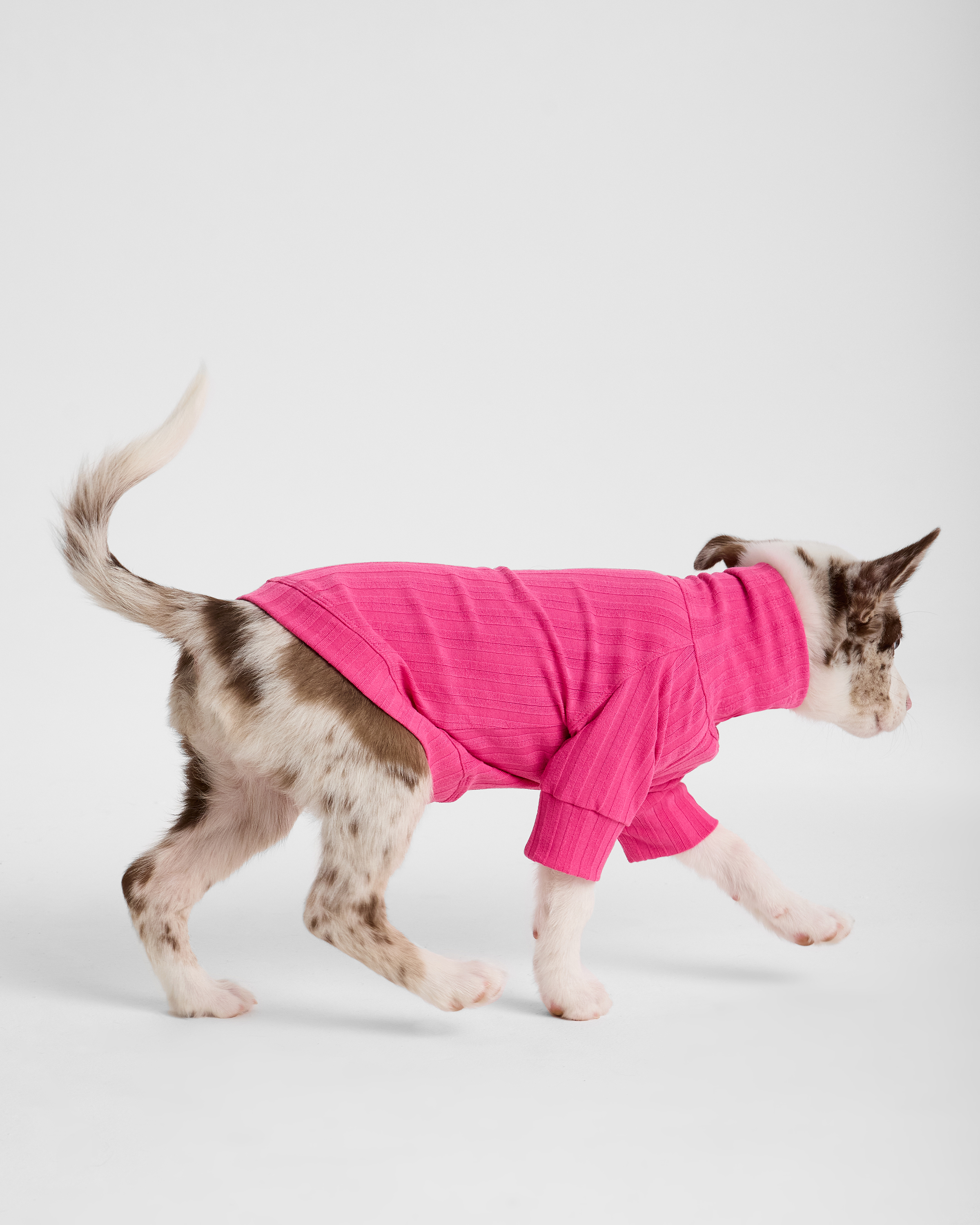 Водолазка для собак и кошек Зоозавр - фото 3