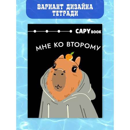 Тетрадь CENTRUM клетка 48 лист. 5 шт.
