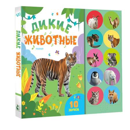 Книга АСТ Моя первая книга со звуками Дикие животные