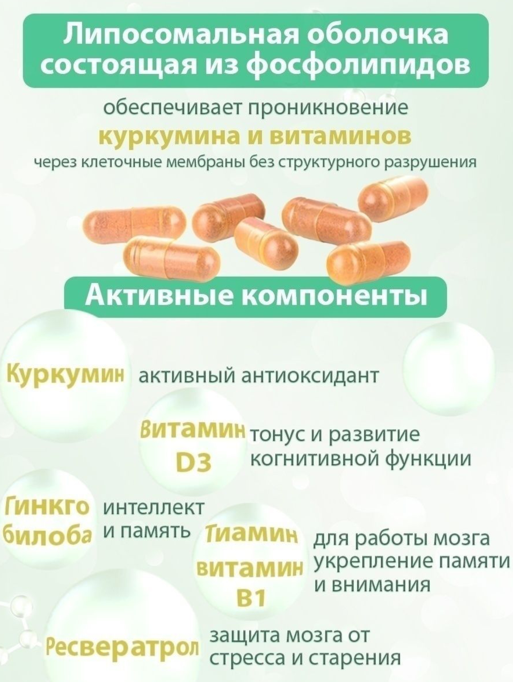 Концетраты пищевые Алтайские традиции Липосомальный куркумин Для памяти и мозга с ресвератролом веган 60 капсул - фото 2