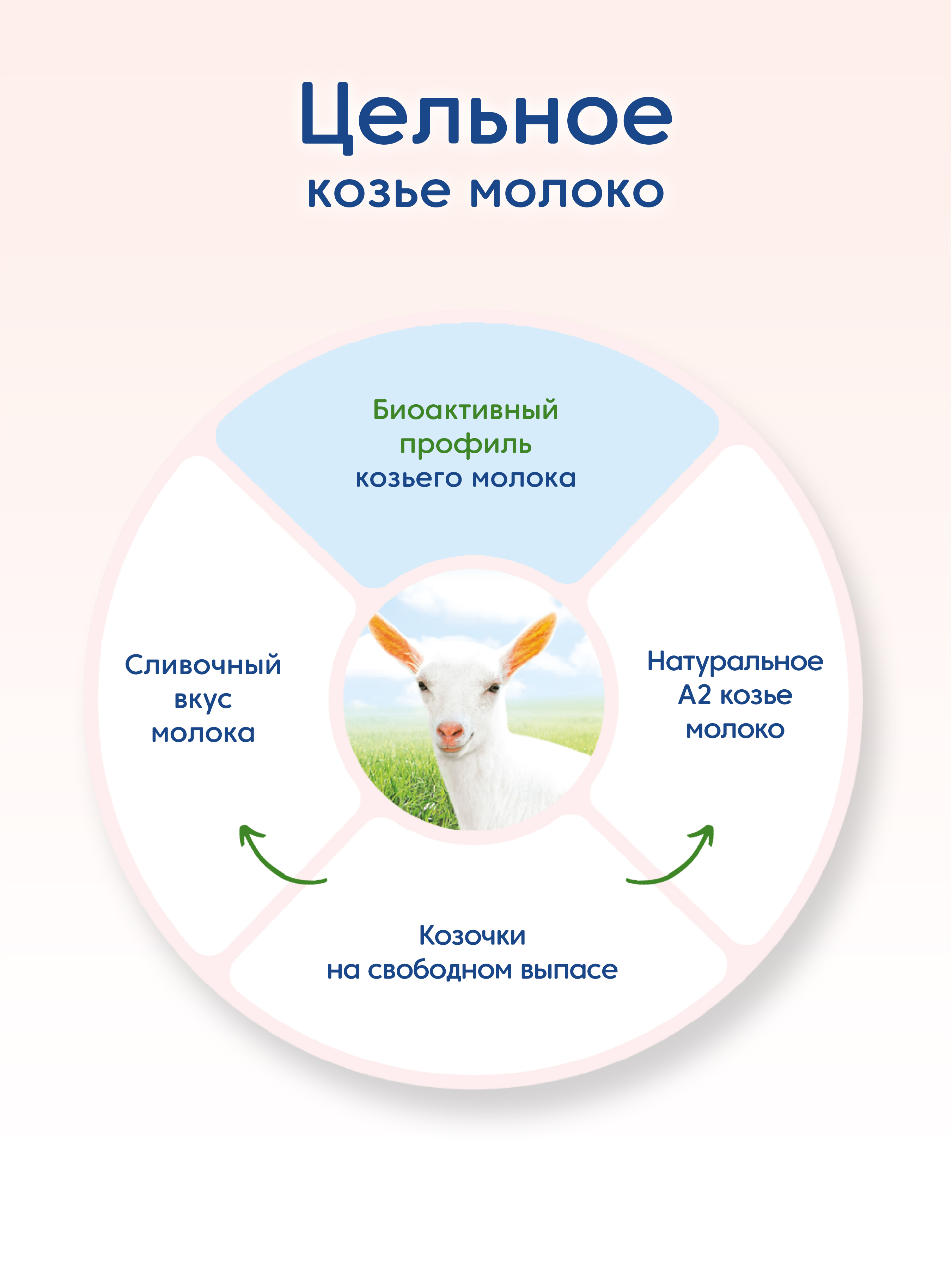 Смесь Мамако 1 Premium на козьем молоке 800г с 0месяцев - фото 3