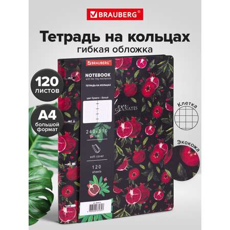 Тетрадь со сменным блоком Brauberg клетка 120 лист.
