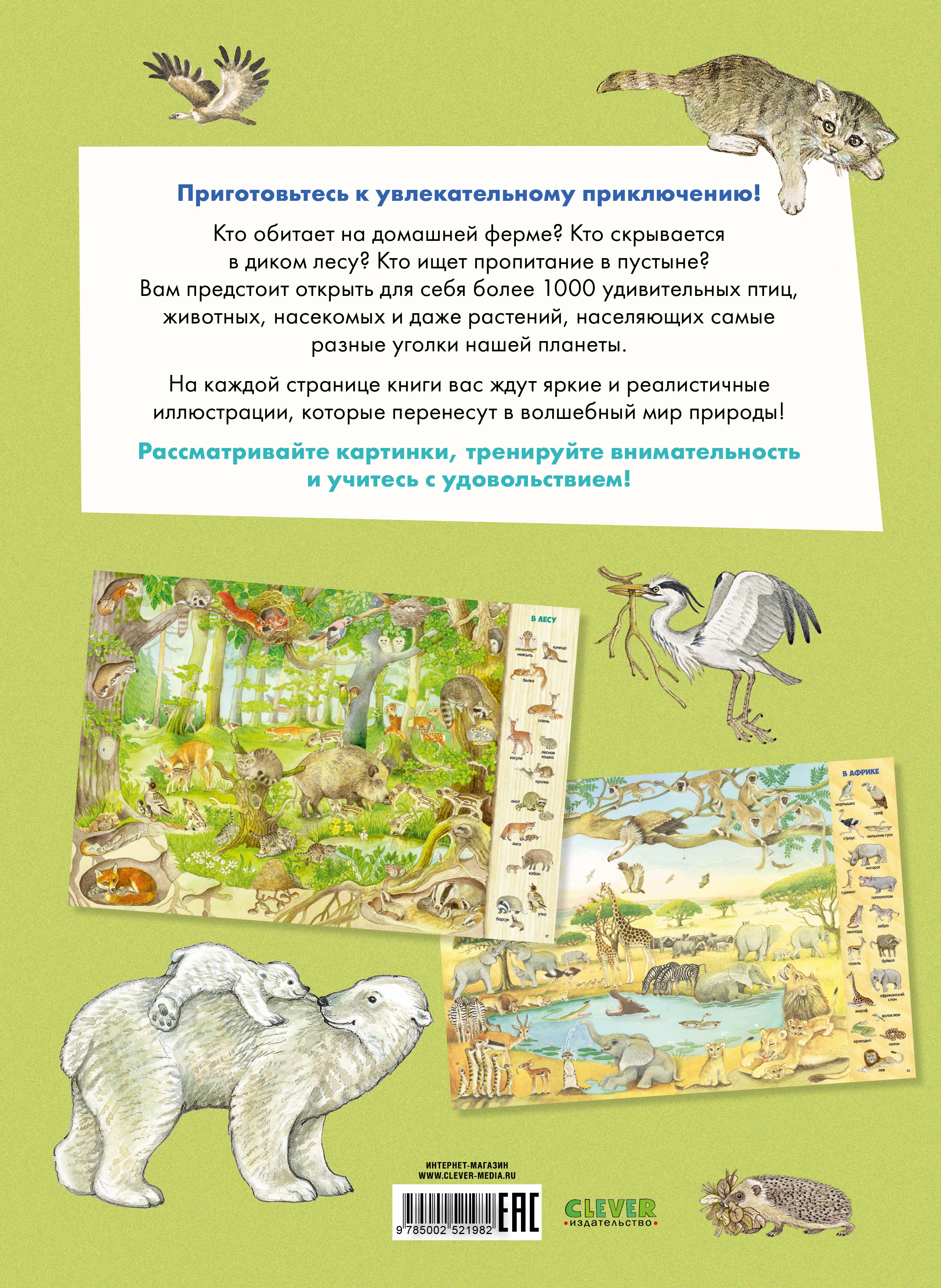 Книга Clever Найди и покажи - фото 7