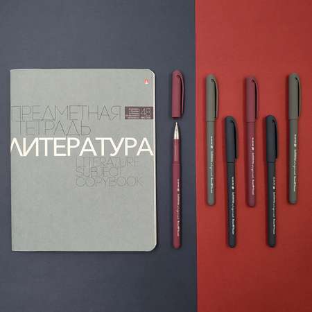 Ручка шариковая Bruno Visconti 5 шт.