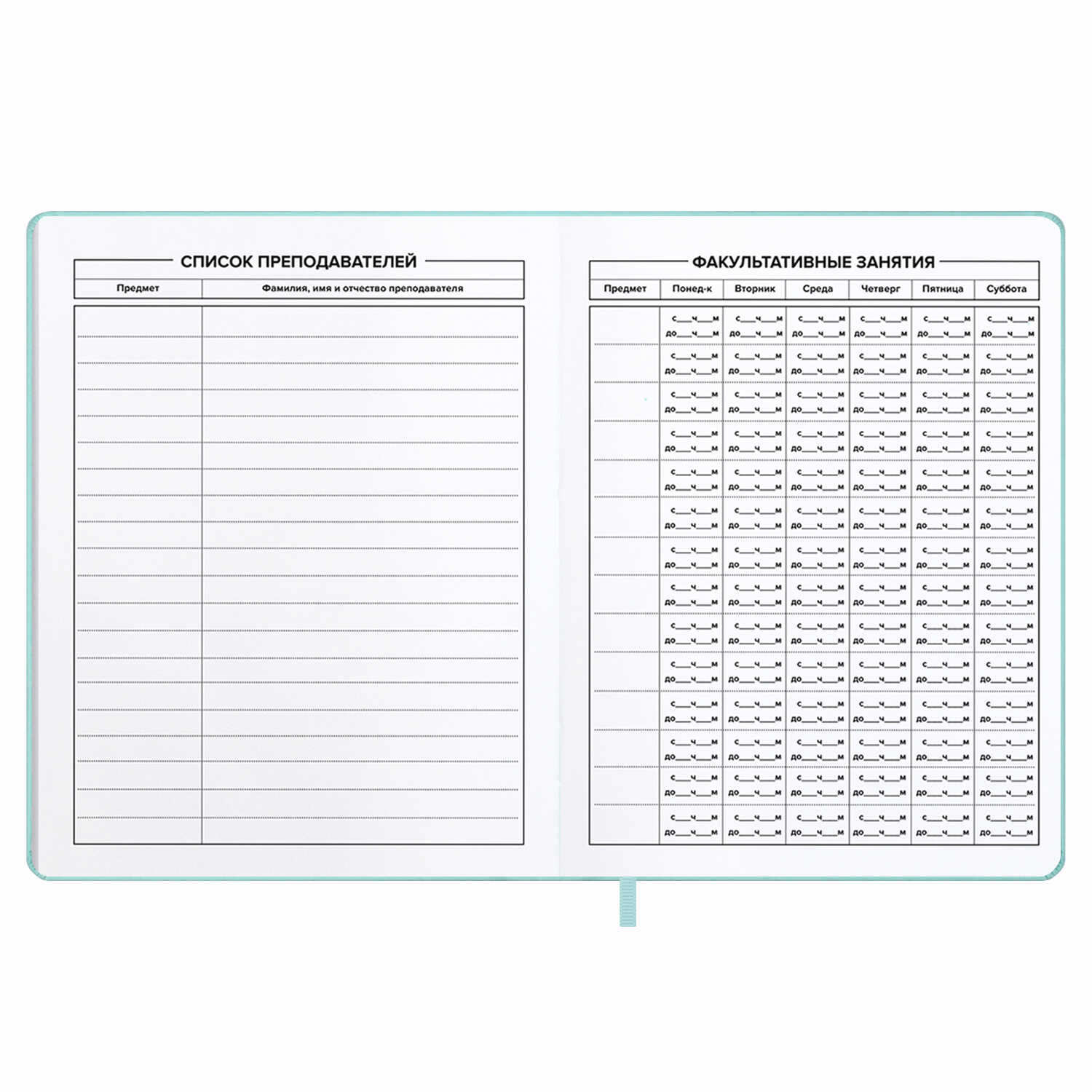 Дневник школьный Феникс + Серебряный котенок - фото 13