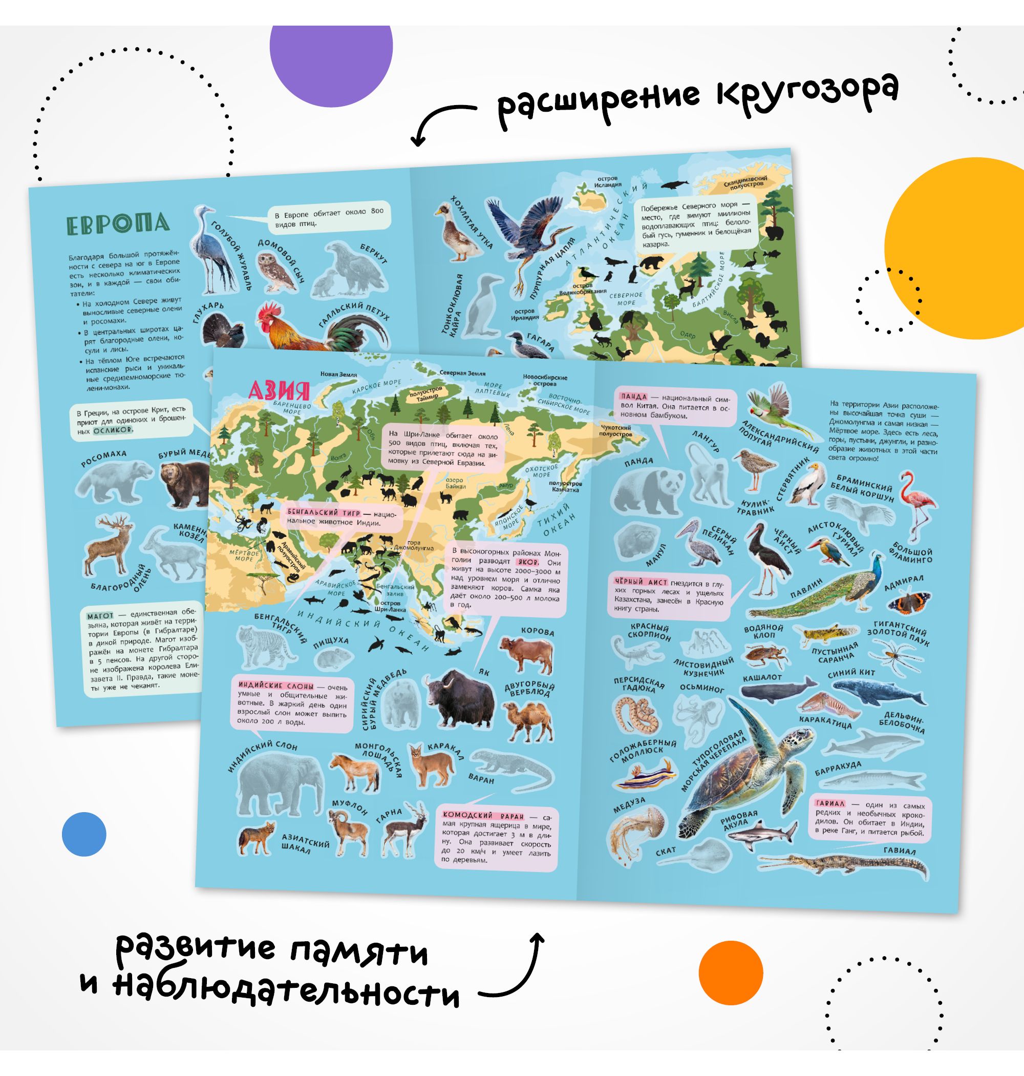 Книга МОЗАИКА kids Атлас мира с наклейками Животные - фото 7