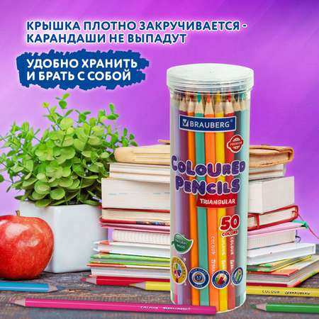 Карандаши цветные Brauberg 50 шт.