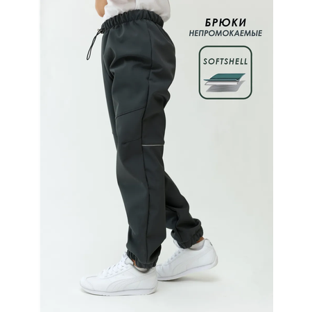 Брюки Lemonwear