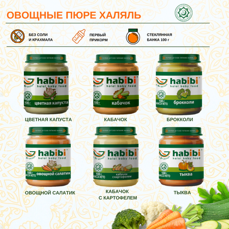 Пюре овощное Халяль Habibi Тыква упаковка 6 шт по 100 г