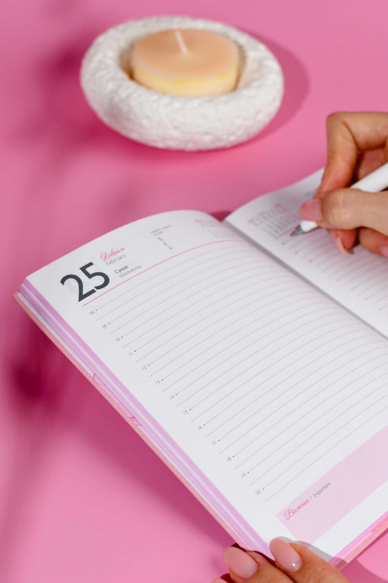 Ежедневник Феникс + ESCALADA 176 лист. - фото 12