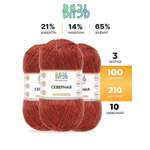 Пряжа ВЯЗЬ для вязания Северная универсальная 100 гр 210 м 3 мотка 10 красный