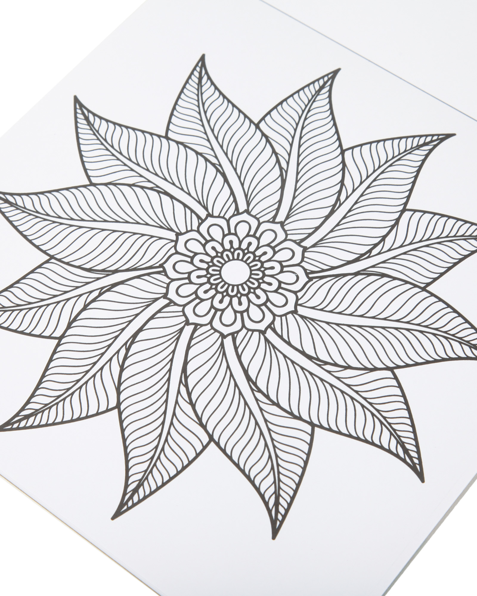 Раскраска Attivio Цветы антистресс 24 листа - фото 5