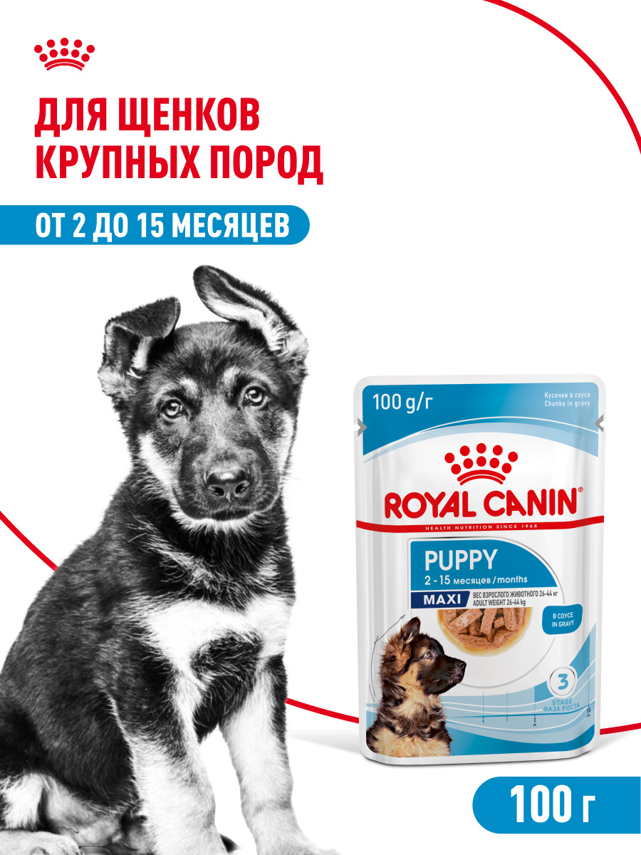 Корм для щенков влажный ROYAL CANIN Maxi Puppy для крупных пород в возрасте до 15 месяцев соус 100г - фото 1