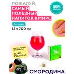 Полезный напиток Hydroniq Detox Смородина