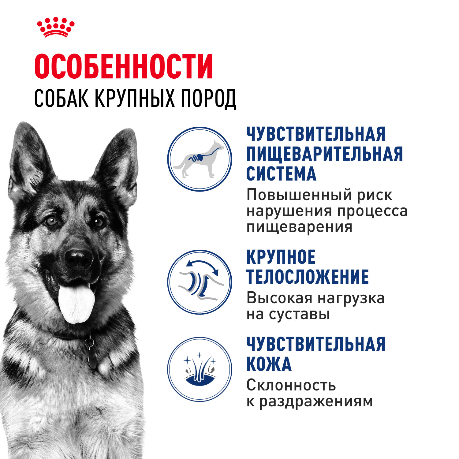 Корм для собак ROYAL CANIN крупных пород до 5 лет 15кг - фото 2