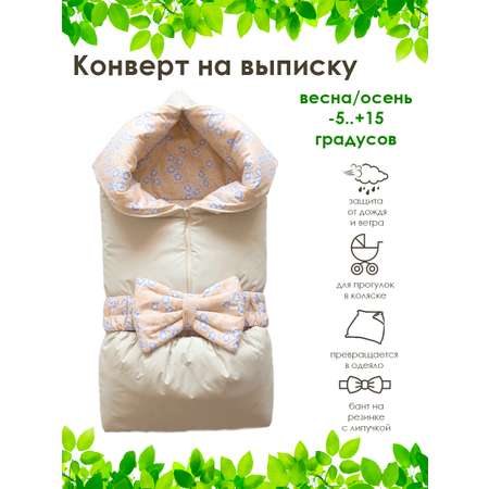 Конверт на выписку Clapsy