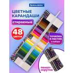 Карандаши цветные Brauberg 48 шт.