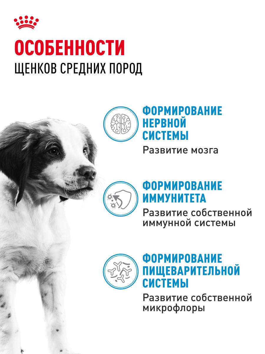 Корм для щенков влажный ROYAL CANIN Medium Puppy средних пород в возрасте до 12 месяцев соус 100 г - фото 2
