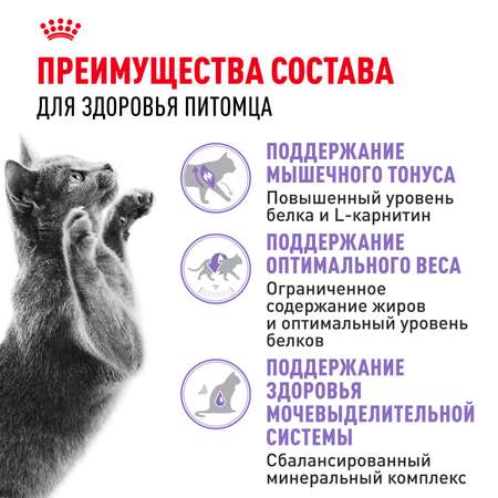 Корм ROYAL CANIN Sterilised 37 сухой 0.2кг для стерилизованных кошек