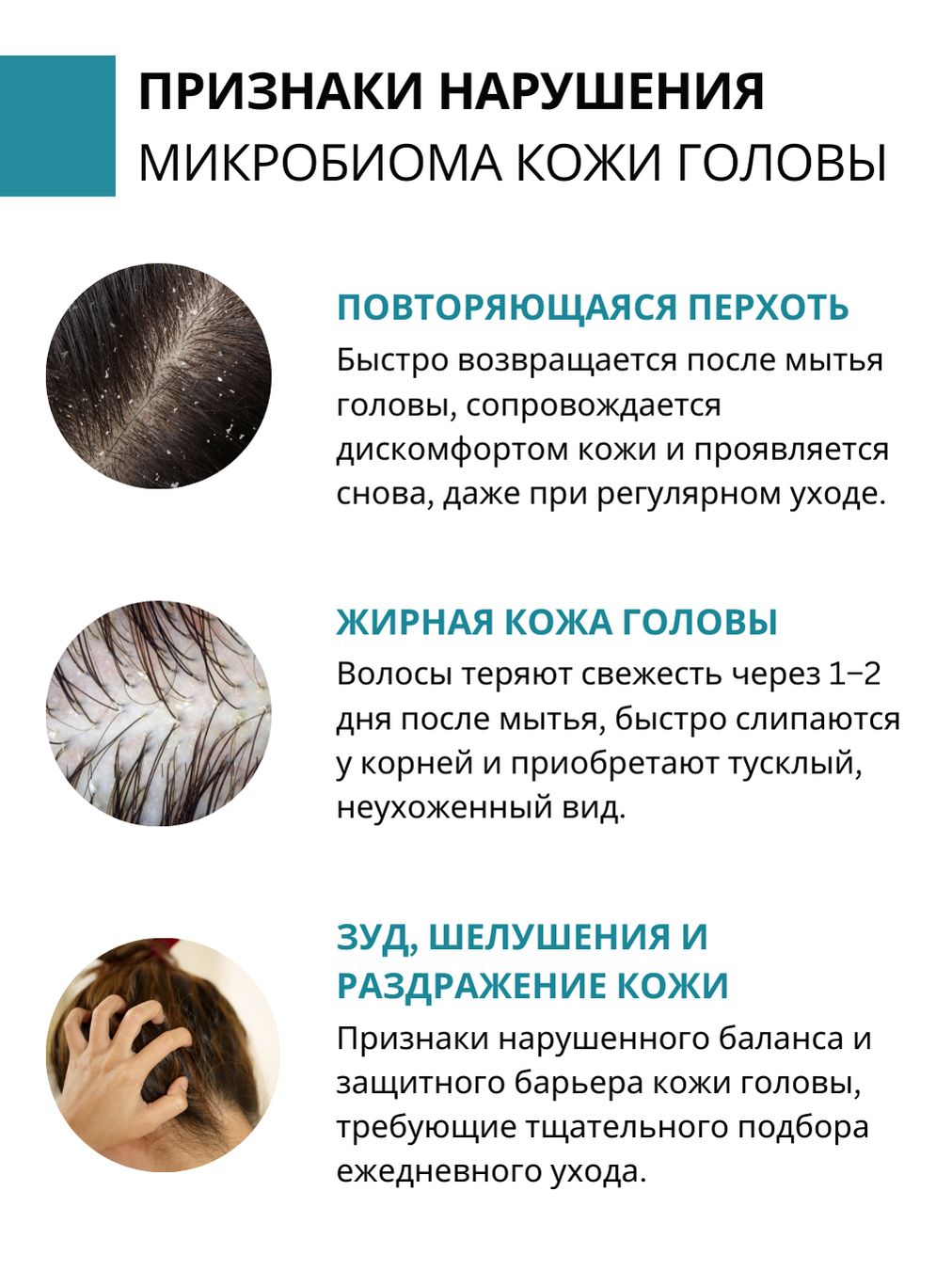 Шампунь DR. MARCUS HEILER Контроль перхоти 250 мл - фото 7