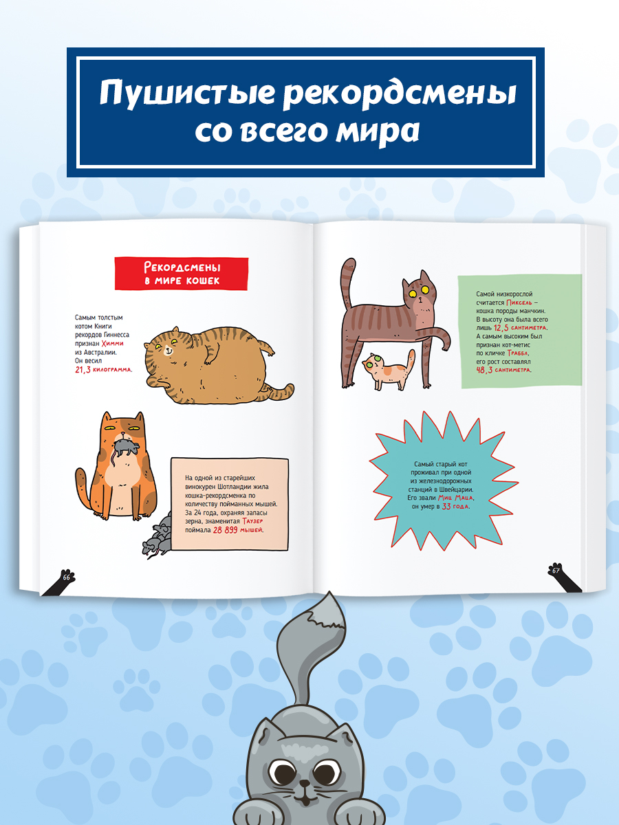Книга Проф-Пресс детская энциклопедия Кошки Большие секреты маленьких хищников Мягкий переплет - фото 8