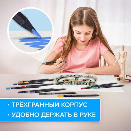 Карандаши цветные Brauberg 24 шт.