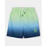 Шорты купальные Futurino